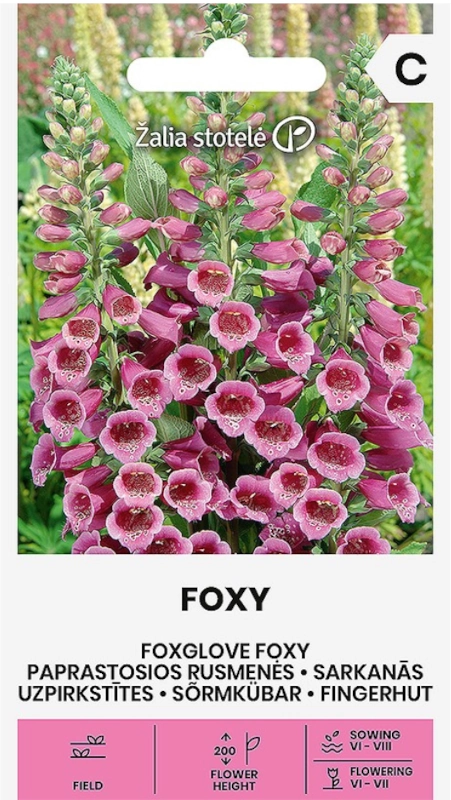 Naparstnica purpurowa Foxy Colour Mix odmiana o licznych kwiatach nasiona 0,2g Žalia stotelė sklep rajogrodnika